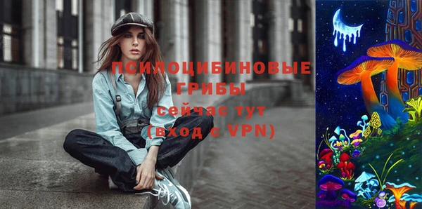 дурь Алзамай
