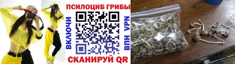 Псилоцибиновые грибы Cubensis  ссылка на мегу ссылки  Аткарск 